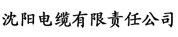 蜜桃无码AV一区二区电缆厂logo